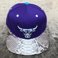 Custom Python M&N Chicago Bulls (Purple)