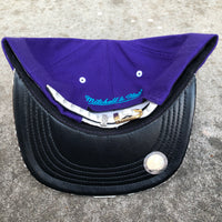 Custom Python M&N Chicago Bulls (Purple)